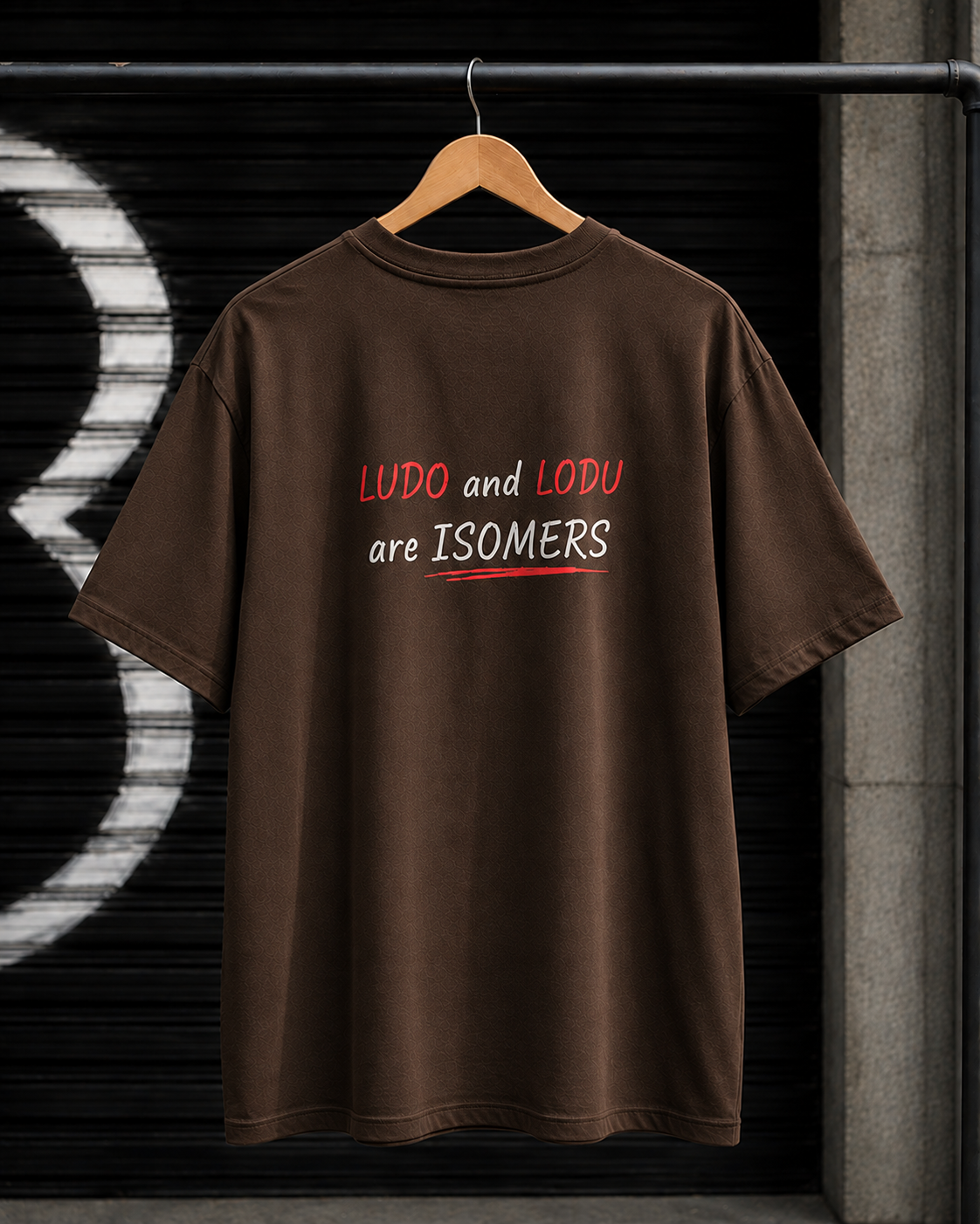"Ludo and Lodu are Isomers" Funny Hindi Wordplay Oversized T-Shirt — Brown 5